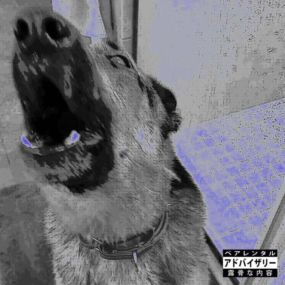 DOGHOUSE