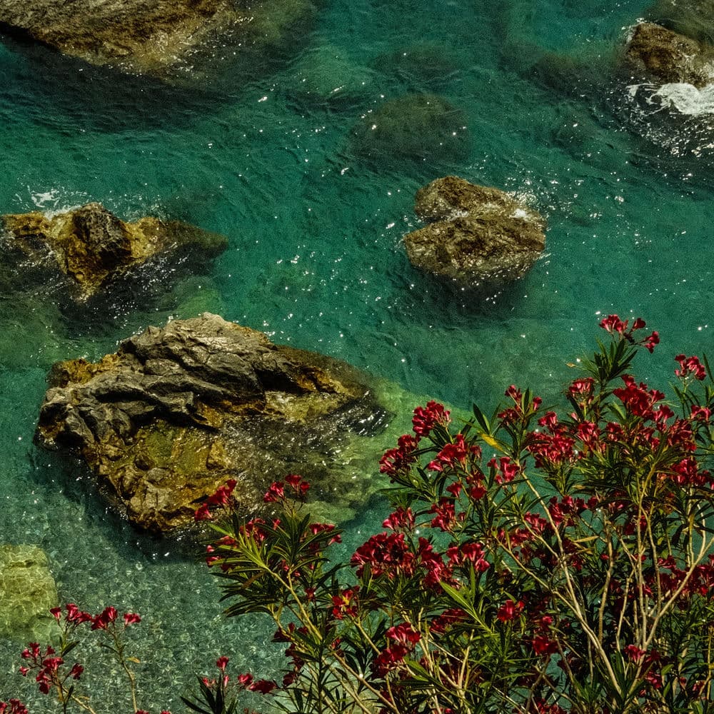 DO RIO AO MAR ALÉM