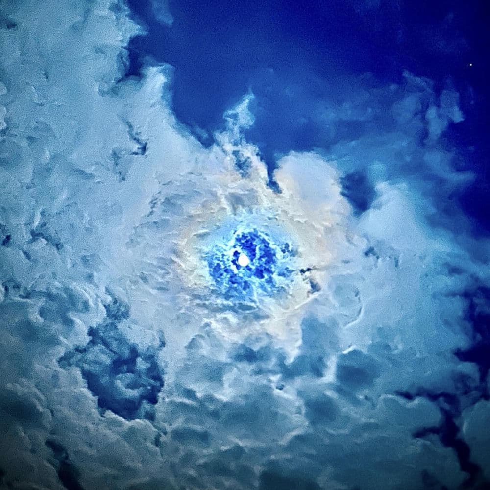 Under The Night Sky
