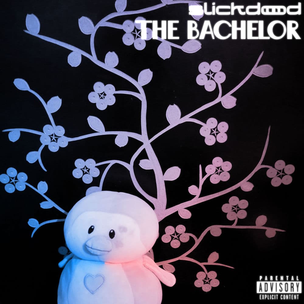 the bachelor